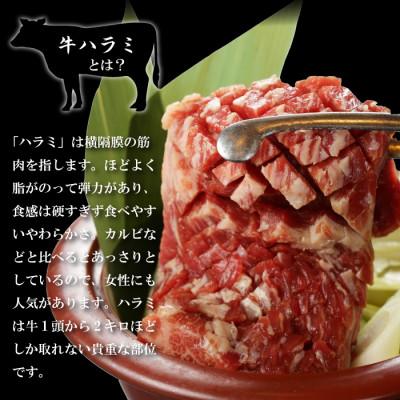 ふるさと納税 岩手県 肉厚牛たん(タン元)500gと牛ハラミステーキ600g(K6-032)