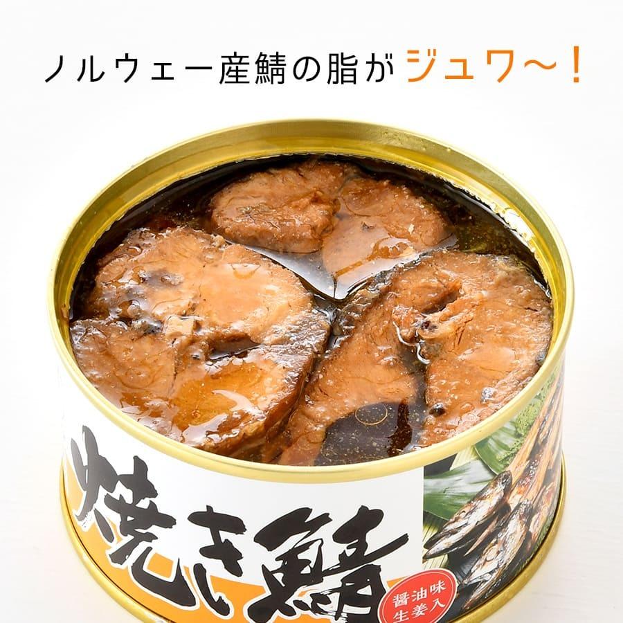 サバ缶 蟹缶 焼き鯖缶入 福井缶詰９缶ギフトセット（D）家飲みおつまみ 高級 贈答用 ノルウェー産