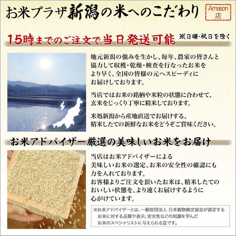 新米新潟県産 こしいぶき 白米 15kg (5kg×3 袋) 令和4年産