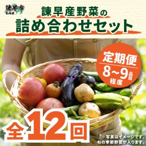 『定期便』_諫早産野菜の詰め合わせ(8～9品目程度)_全12回