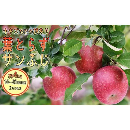 ふるさと納税 2月発送 訳あり 葉とらず サンふじ 約4kg 青森県弘前市