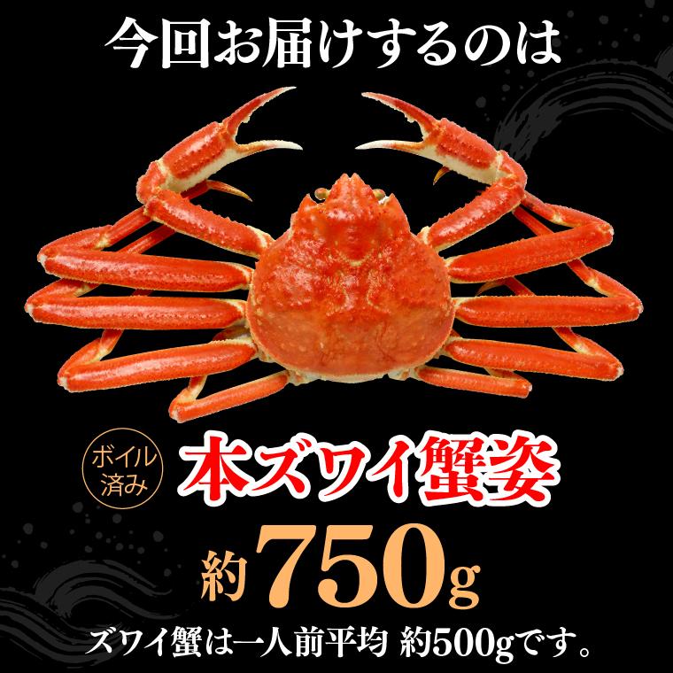 お歳暮 ギフト カニ ギフト ズワイガニ１尾（750g ボイル済み）  御歳暮 冬ギフト 蟹 かに ズワイガニ ずわいがに ズワイ 北海道 茹で 冷凍 海鮮 内祝い お返し