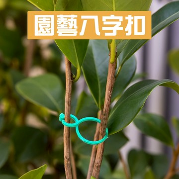 隔日到貨 園藝八字扣 20入裝 綠色塑料 固定枝條不傷苗 多肉花卉適用