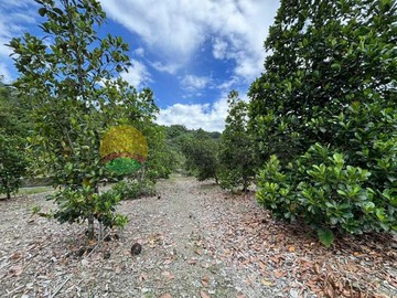 屏東◆高樹沿山公路旁#好山好水有電#農地｜屏東縣高樹鄉新豐段