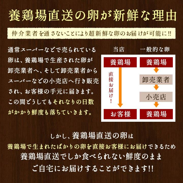 櫛田養鶏場のこだわりの卵 三種食べ比べセット 名古屋コーチンの卵10個 くしたま赤卵10個 くしたま白卵10個 合計30 個(※各種9個 1個破卵保証)