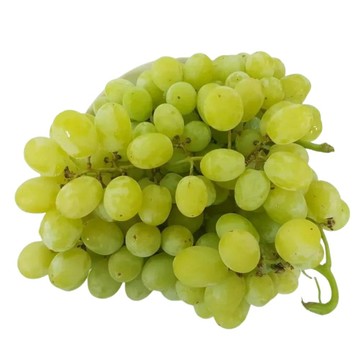 RealShop 加州綠無籽葡萄 1kg±10%x2袋