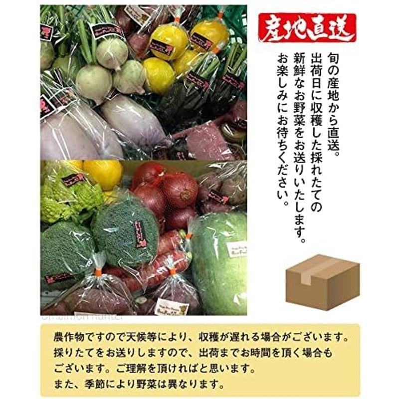 旬の採れたて新鮮野菜詰め合わせ S Buu Fuu Uuu 中身は季節により異なります。