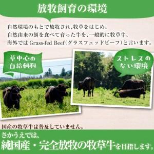 ふるさと納税 牧草育ちの里山牛 すき焼き用ロース 計800g c5-014 鹿児島県志布志市