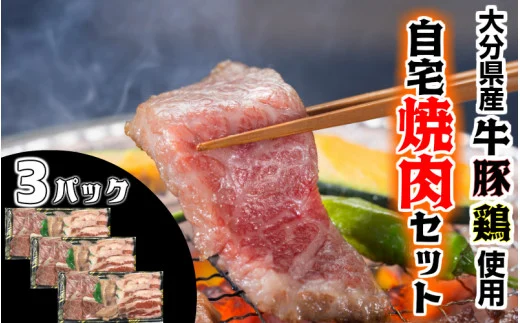 牛・豚・鶏の自宅焼肉セット（1570R）