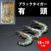 有頭ブラックタイガー 35尾 1.3KG 冷凍