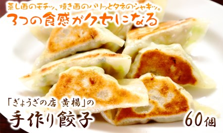 「ぎょうざの店　黄楊」の手作り餃子　60個　N0099-ZA358