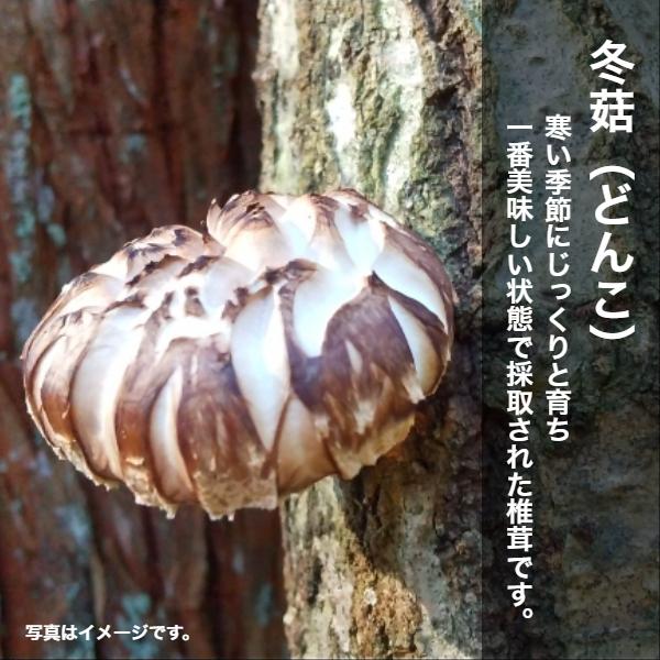 干し椎茸 九州産 小ぶりなどんこ 200g 大容量 原木栽培 チャック付き袋 国産 どんこ しいたけ 椎茸 シイタケ 干ししいたけ 干しシイタケ