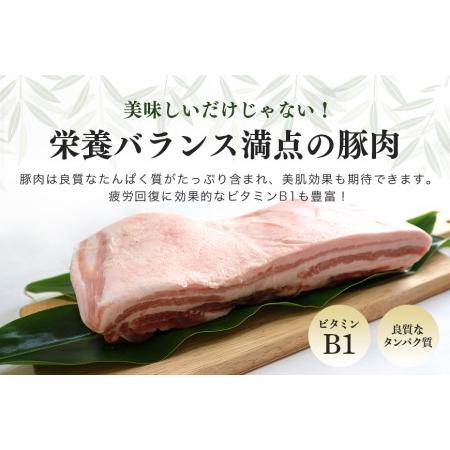 ふるさと納税 ブランド豚「ばんぶぅ」小分け 豚バラ焼肉用 1kg（500g×2パック） 冷凍便 1キロ 豚肉 豚バラ肉 豚バラスライス肉 焼き肉用 .. 茨城県小美玉市