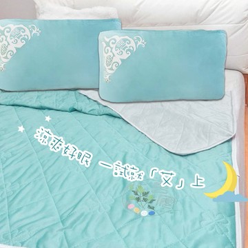 【命運好好玩】李玉珮-艾草冰涼被+好眠平安枕巾2入