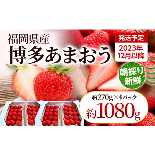 ふるさと納税 福岡県 田川市 農家直送 朝採り新鮮いちご [(約270g)×4パック]＜2023年12月以降順次出荷予定＞