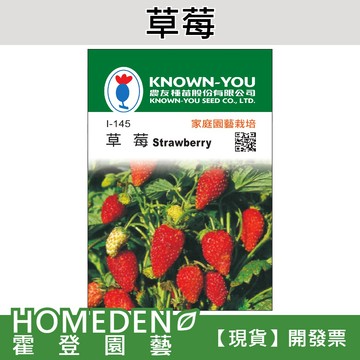 【隔日到貨】草莓 I-145 趣味種子 水果種子 農友牌 小包裝種子 約80粒/包【HOMEDEN霍登園藝】