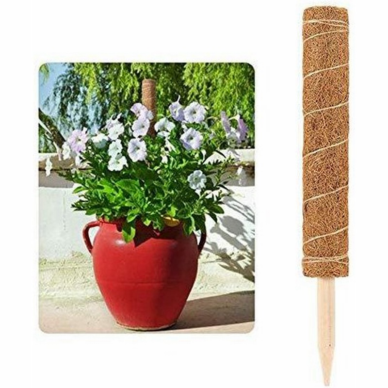 Onev Ft 支柱 園芸 ココナッツ ガーデニング支柱 水分維持 植物支柱 花支え 50 70cm 植物サポート 中空デザイン 頑 通販 Lineポイント最大0 5 Get Lineショッピング