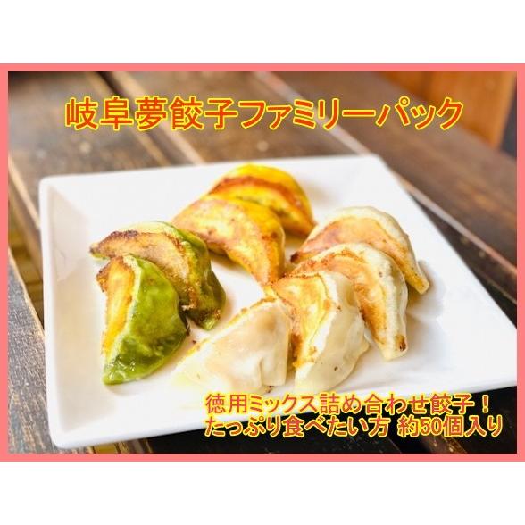 岐阜夢餃子ファミリーパック 徳用ミックス詰め合わせ餃子！たっぷり食べたい方へ約50個入り 岐阜 餃子 簡易包装　お取り寄せ 冷凍