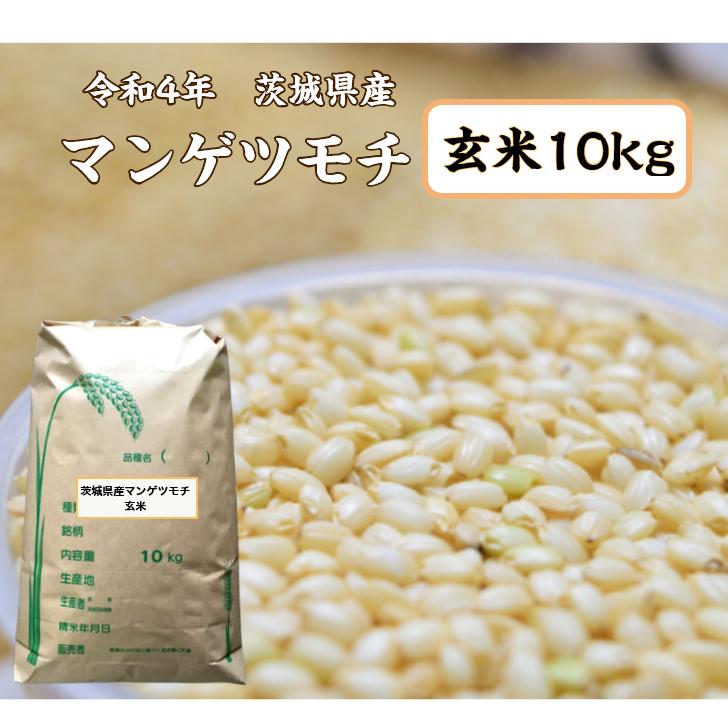 もち米 玄米 10kg「5年茨城県産 マンゲツモチ 玄米 10kg」送料無料