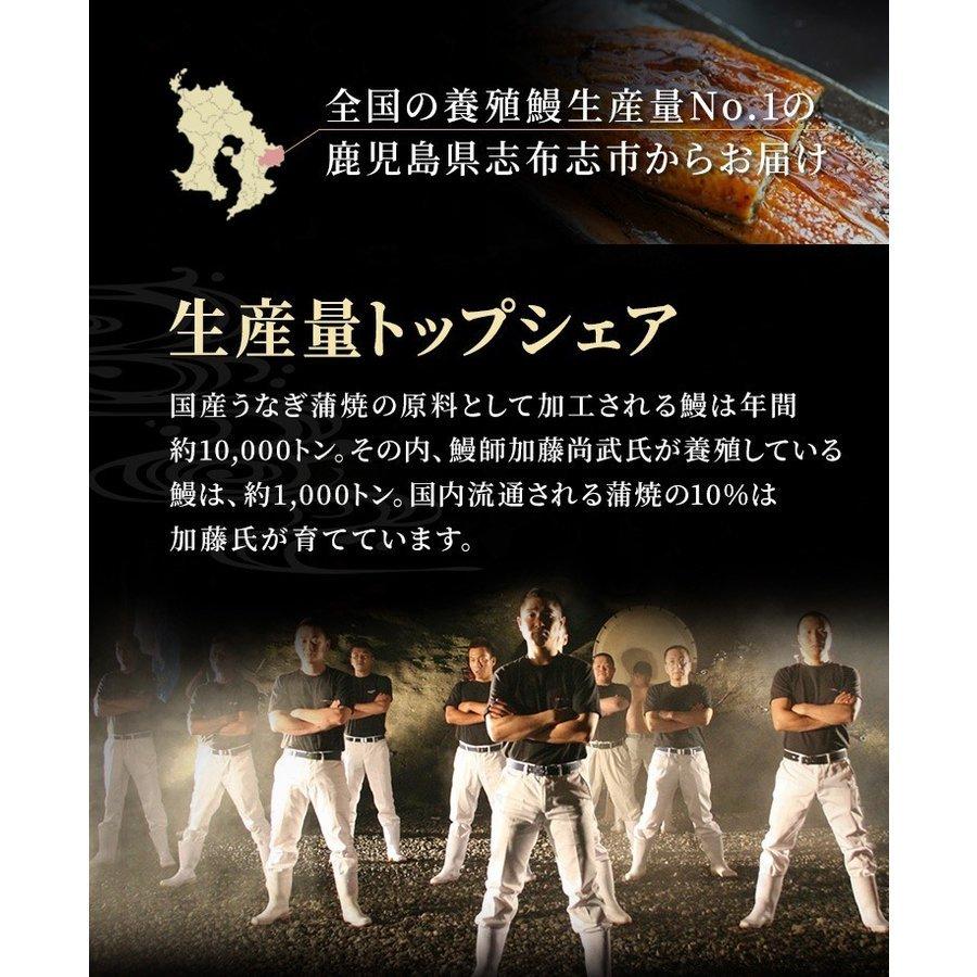 うなぎ 蒲焼き 鰻 国産 鹿児島県産 無投薬 特大 約200g×1尾 化粧箱 ギフト プレゼント お歳暮 御祝い ウナギ