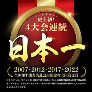 《生産者支援品》宮崎牛ロースステーキ (宮崎県産和牛こま切れの付き) 700g 肉 牛 牛肉