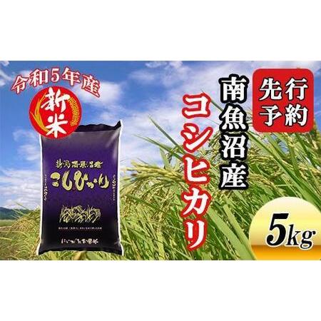 ふるさと納税 南魚沼産コシヒカリ5kg 新潟県南魚沼市