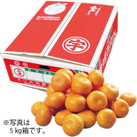 玉津みかん S・5kg 愛媛県産（JAえひめ南玉津共選） お歳暮 ギフト 送料無料