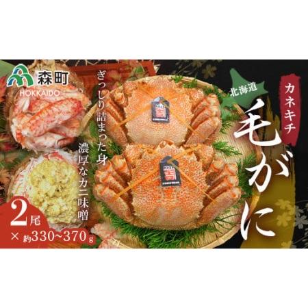 ふるさと納税 北海道噴火湾産「カネキチ」浜ゆで毛がに2尾入（約330〜370ｇ） かに カニ 蟹 ガニ がに 森町 ふるさと納税 北海道 毛蟹 毛かに 毛ガ.. 北海道森町