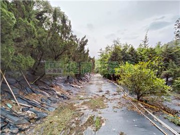 中寮農+建地送屋及檜樹｜南投縣中寮鄉永平路