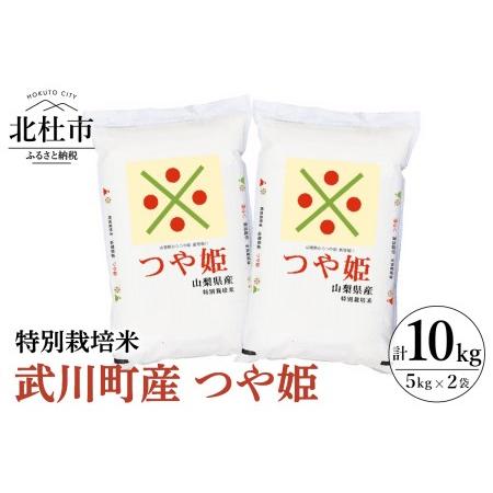 ふるさと納税 令和5年度米　特別栽培米　武川町産つや姫　５kg×２袋 山梨県北杜市