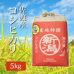 令和5年産 新潟県 佐渡産 新米 コシヒカリ 玄米 5Kg (5キロ) 2023年度産 米 こしひかり 産地直送 国産 ご飯 食品 米 コメ こめ お米 贈答