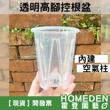 【隔日到貨】透明高腳控根盆 內建空氣柱 青山盆 觀葉植物專用盆 室內植物 雨林植物 龜背芋【HOMEDEN霍登園藝】