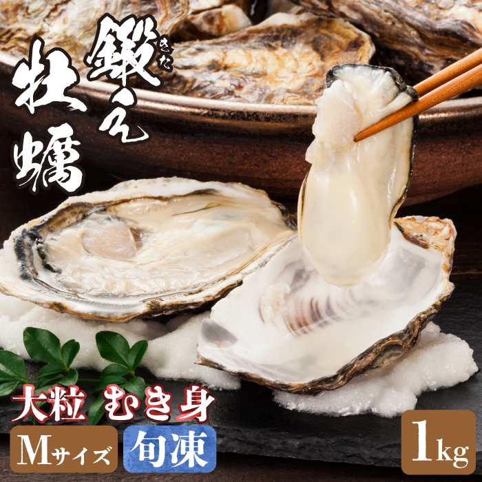 広島産 大粒 鍛え牡蠣 むき身 Mサイズ 計1kg（冷凍）＜有限会社寺本水産＞江田島市 [XAE021]