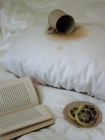 B. TOWEL WATERPROOF PILLOW COVER