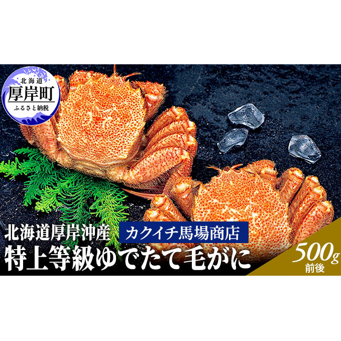 先行予約 蟹屋厳選　北海道 厚岸沖産　特上等級 ゆでたて 毛がに (500g前後×2尾 蟹