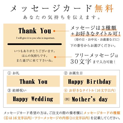 熊本 藤彩牛 カルビ焼肉用 300g　送料無料 ギフト