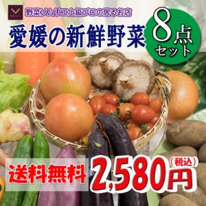 野菜セット 野菜 野菜詰め合わせ お試し 父の日 8品 送料無料 クール便