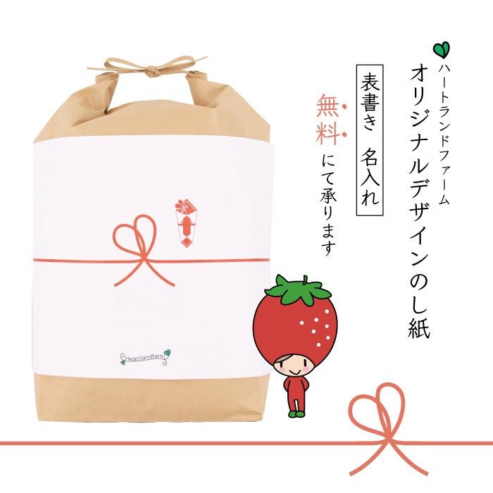 新米 5kg お米 コシヒカリ 山形県 令和5年産 送料無料（一部地域を除く） 精白米 ハートランドファーム