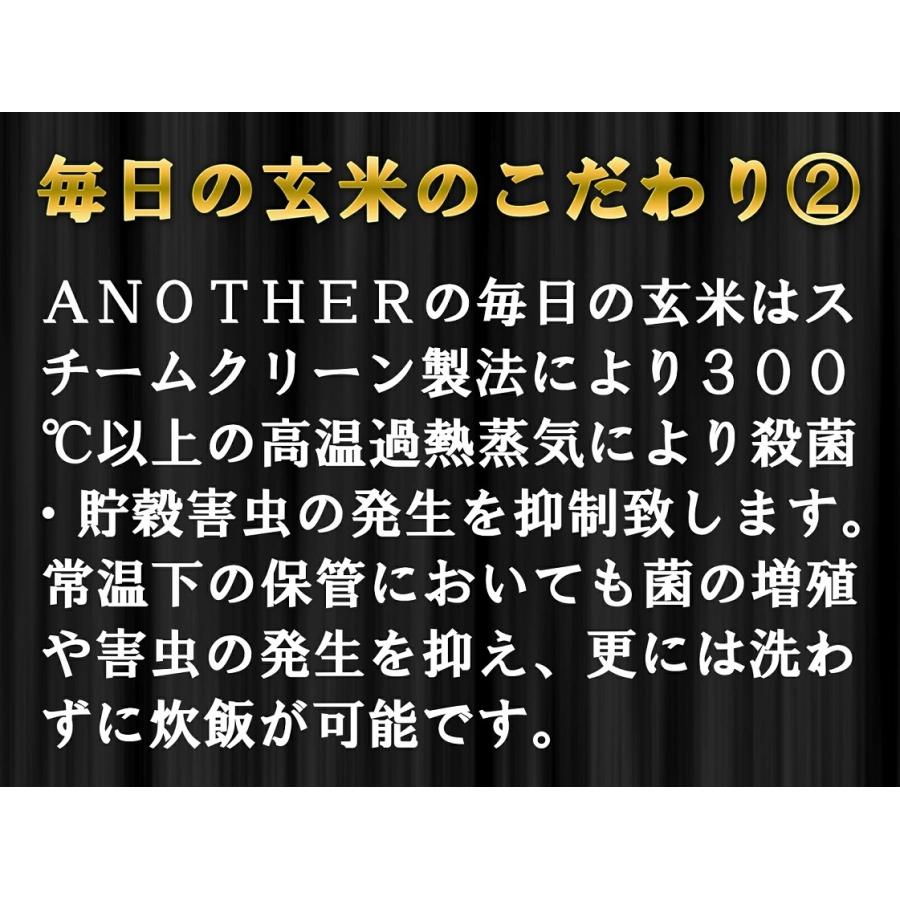 玄米 10kg 毎日の玄米 無洗米 送料無料 5kg ×2袋 国産 米 10キロ