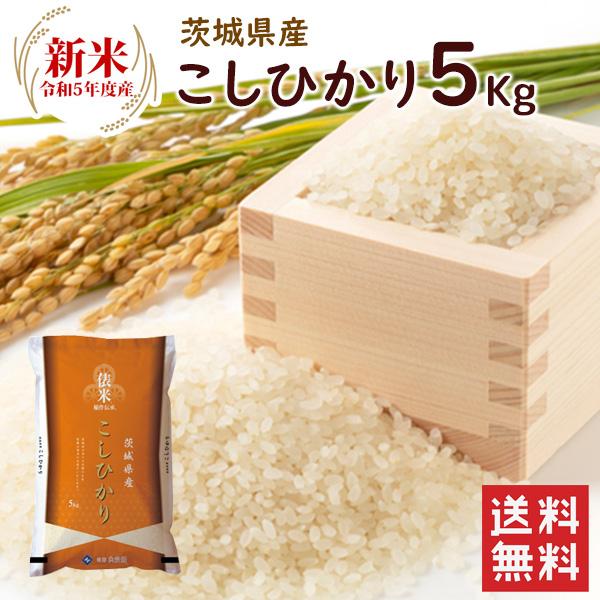 新米 茨城県産 コシヒカリ 5kg（5kg×1袋） 送料無料 令和5年産 精米 お