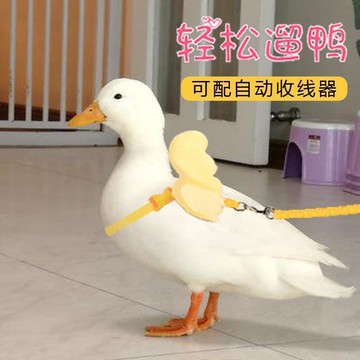 寵物好物鋪 寵物鴨子牽引繩小雞兔子 寵物專用 方便 解悶 壹灣出貨