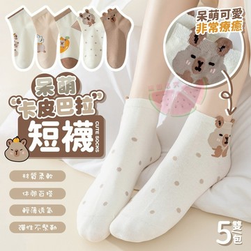 【台灣現貨💕胖姐嚴選】呆萌卡皮巴拉短襪 (一雙)