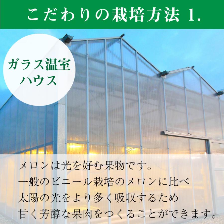 フルーツ・メロン クラウンメロン 上 山等級 大玉 1.4kg前後 1玉入り マスクメロン メロン高級フルーツ お見舞い 母の日 ギフト 内祝い 贈答 フルーツギフト
