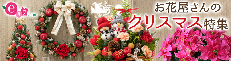 お花屋さんのクリスマス特集