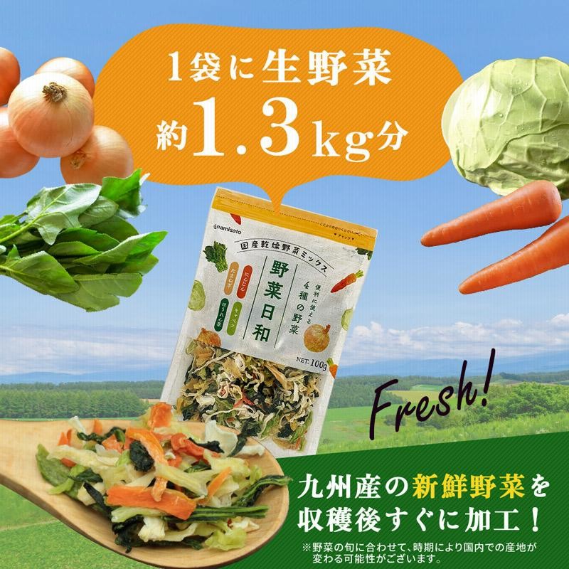 乾燥野菜ミックス 国産 野菜日和 100g×2袋 無添加 キャベツ