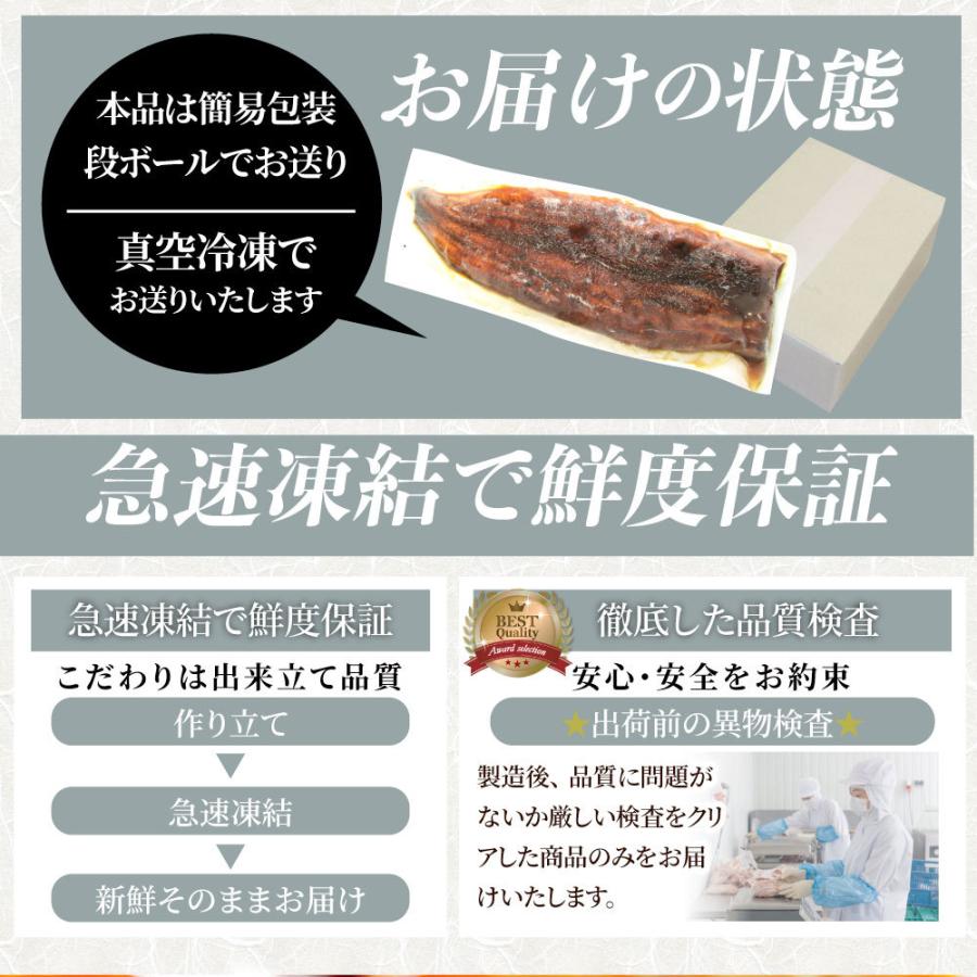 うなぎ蒲焼 10本入り（約200ｇ×10）たれ・山椒付き 鰻 かば焼き 土用 丑の日 湯煎 レンジOK 簡単解凍するだけ 惣菜 冷凍当日発送