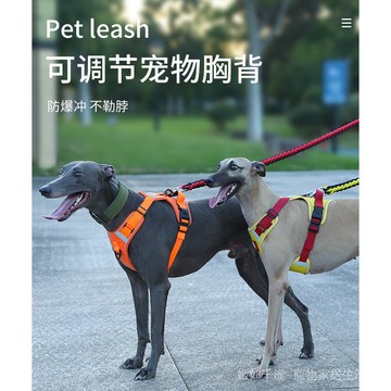犬用新款寵物狗牽引繩胸背帶背心式大型犬繩子不勒手馬甲