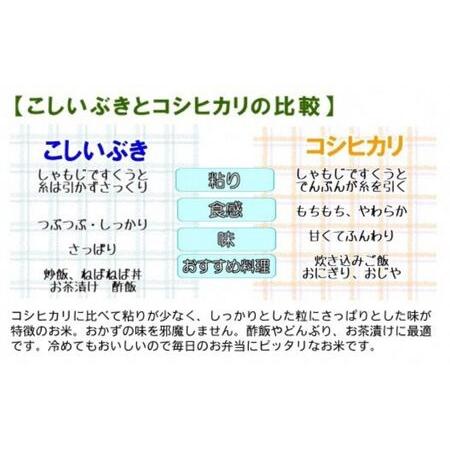 ふるさと納税 『新潟産こしいぶき5kg』プロが認めたうまい米 新潟産コシイブキ 新潟県糸魚川産 農家直送 おいしいお米をお届.. 新潟県糸魚川市