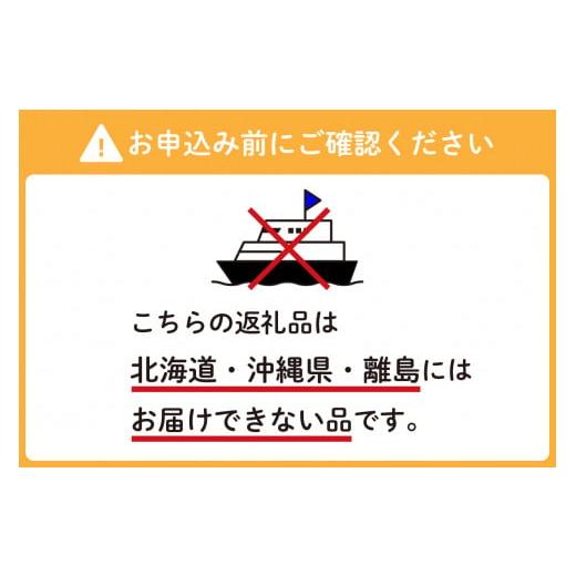 ふるさと納税 広島県 呉市 沖元水産 かき小町 殻付き 牡蠣 10個 牡蠣ナイフ、レシピ付