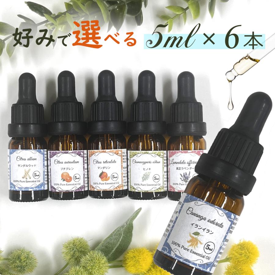 アロマオイル セット 5ml 6本セット スポイト 精油 アロマ